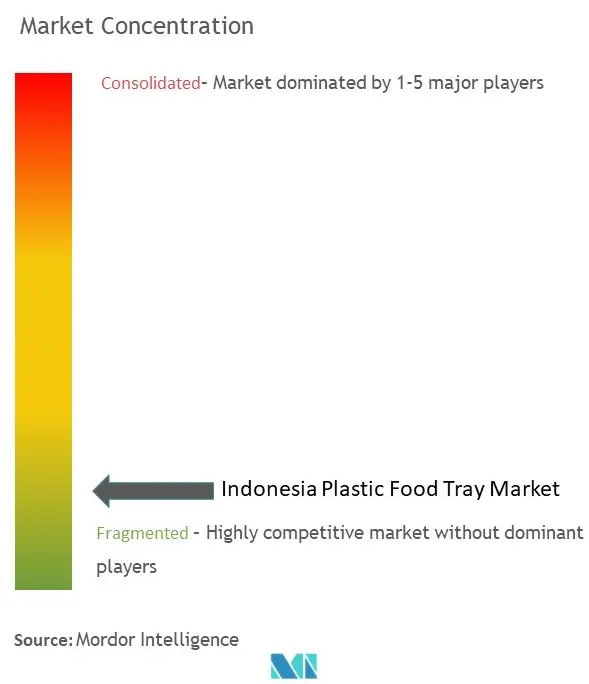 インドネシア プラスチック食品トレイ市場集中度