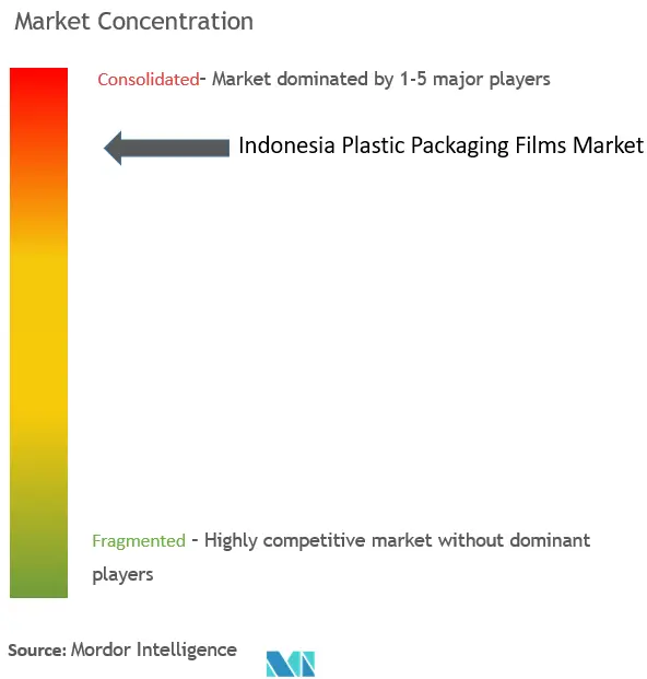 Indonesia Plastic Packaging Films Market Concentration