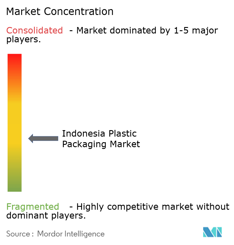 インドネシアのプラスチック包装市場の集中度