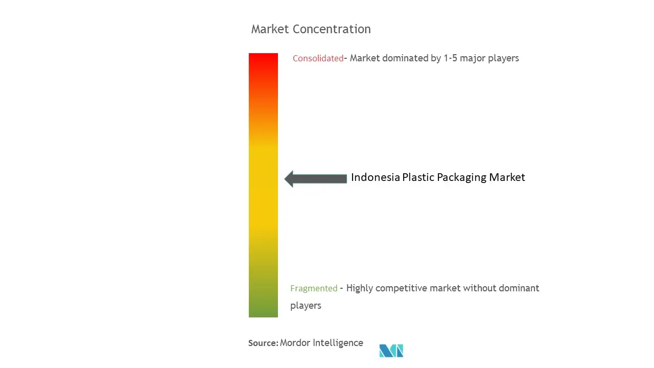 Indonesia Plastic Packaging Market 