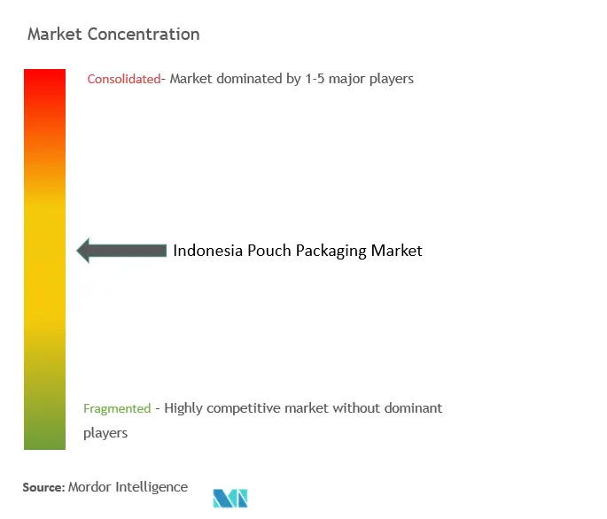 Indonesia Pouch Packaging Market Concentration