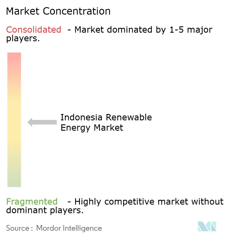 Indonesia Renewable Energy Market