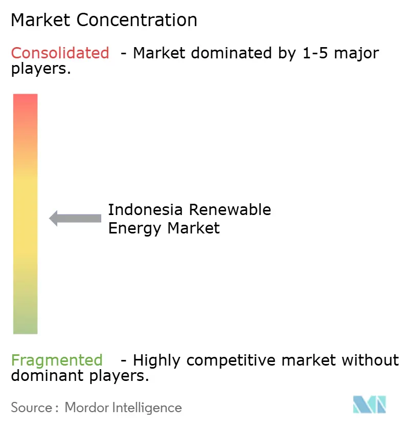 Indonesia Renewable Energy Market