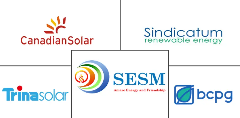 Основные игроки рынка возобновляемых источников энергии Индонезии