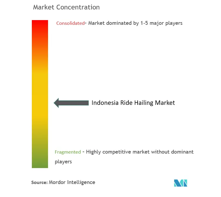 Indonesia Ride Hailing Market Concentration