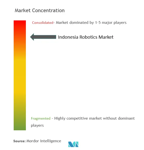 Indonesia Robotics Market Concentration