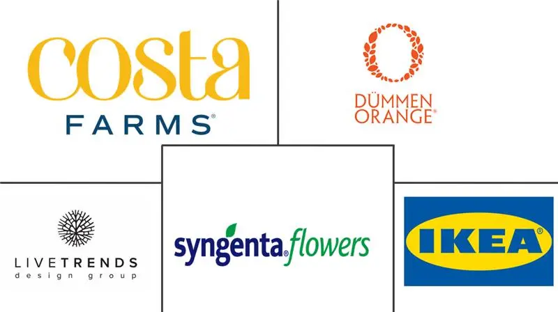 Major players in Indoor Plants industry
