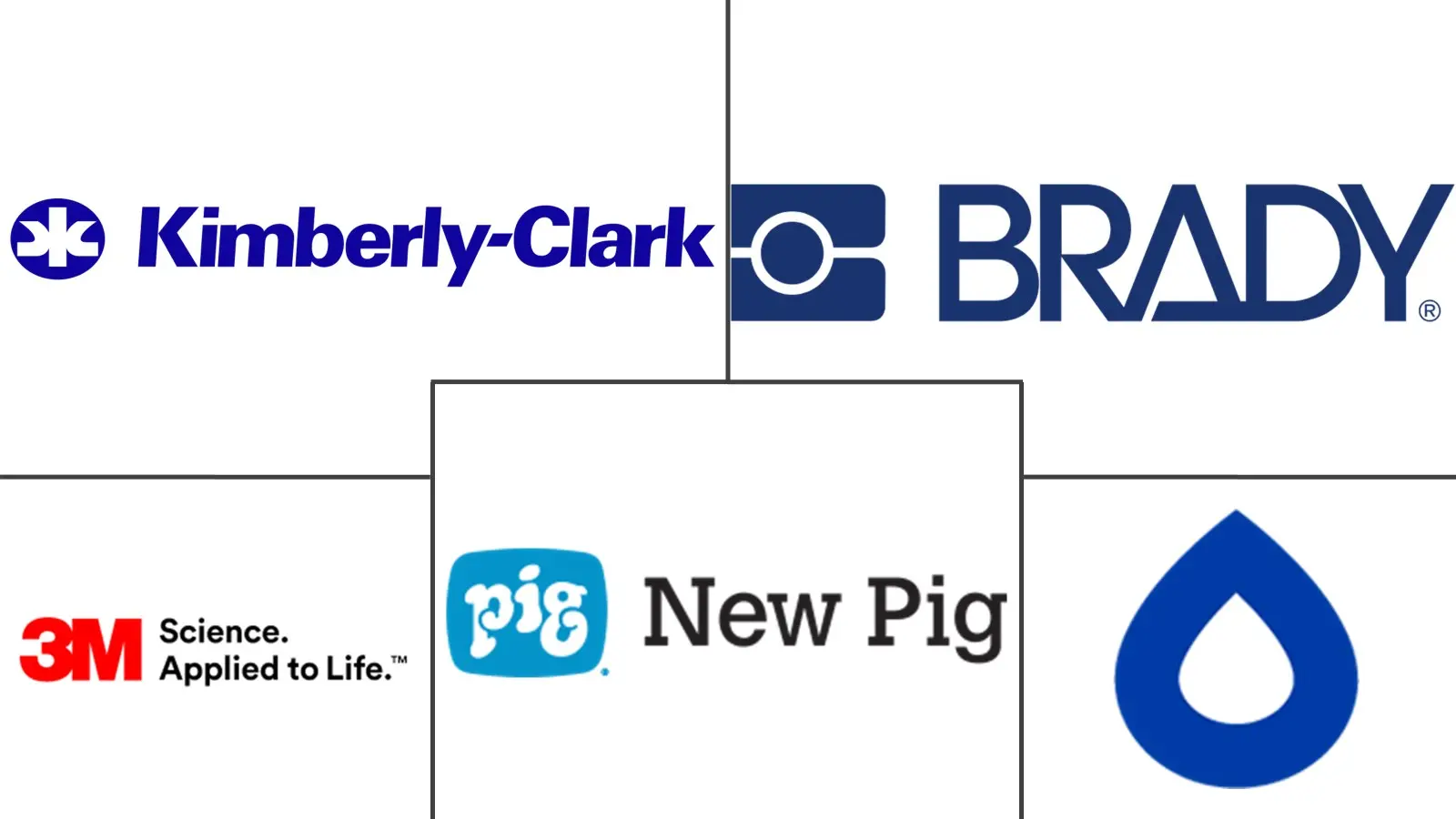 Major players in Industrial Absorbent industry