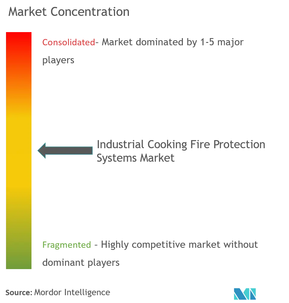 Industrial Cooking Fire Protection Systems Market Concentration