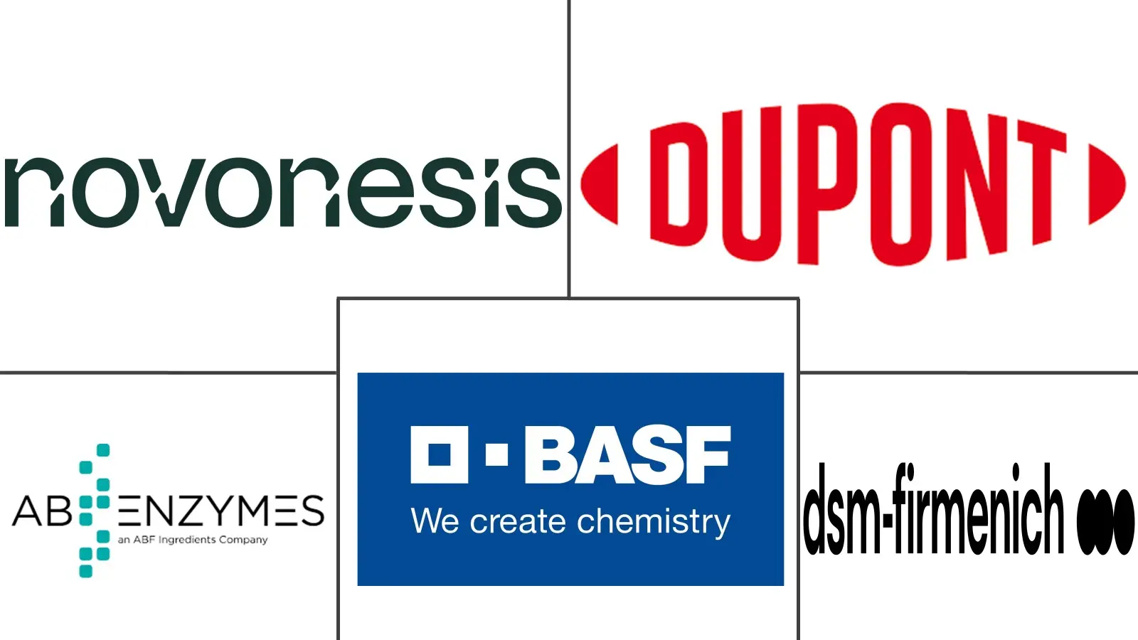  Industrial Enzymes Market Major Players