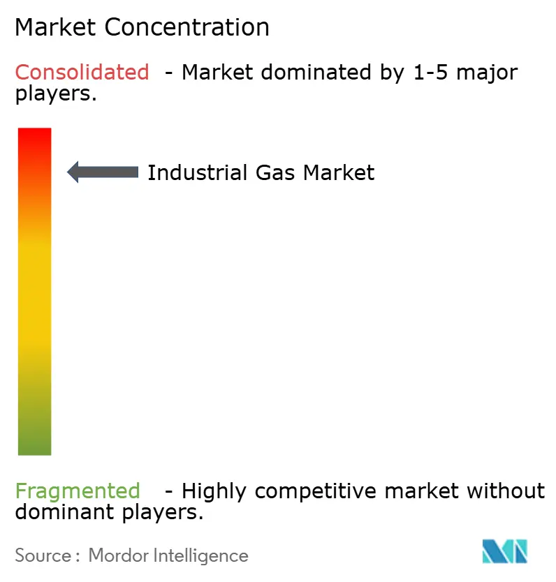 Concentración del Mercado de Gases Industriales