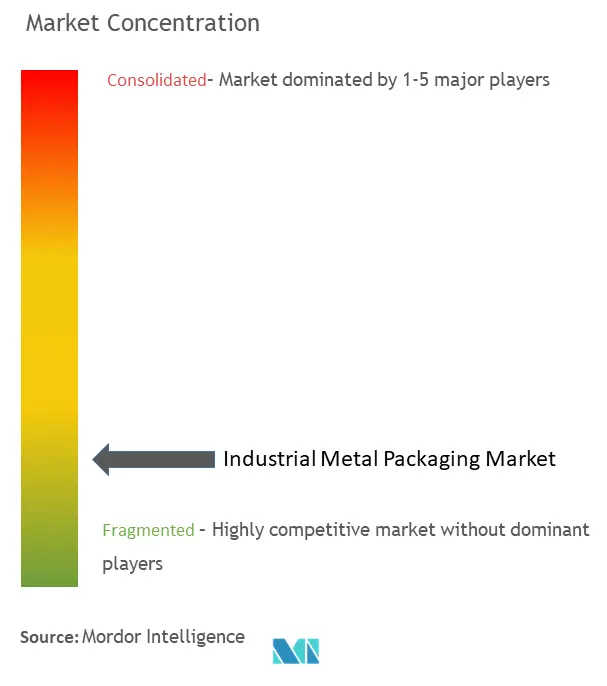 Industrial Metal Packaging Market Concentration