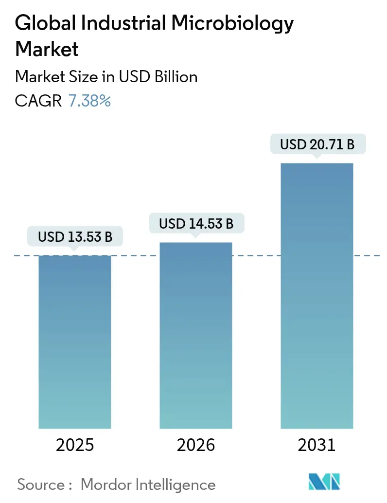 Global Industrial Microbiology Market (2025 - 2030)