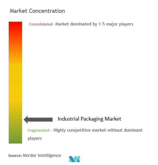 工業用包装市場の集中
