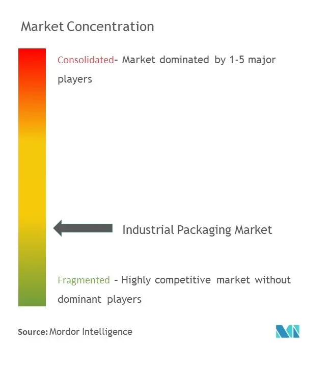 Industrial Packaging Market Concentration
