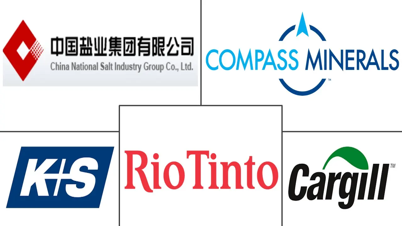  Industrial Salts Market Major Players