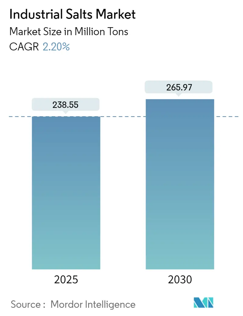 Industrial Salts Market Summary