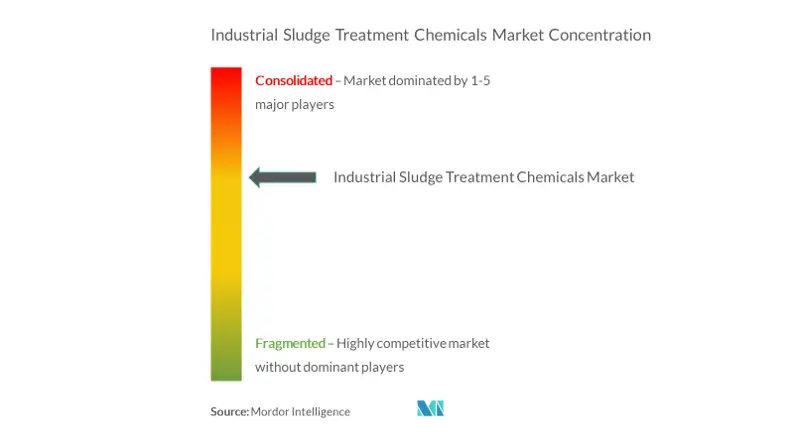 Market Concentration - Industrial Sludge Treatment Chemical Market.png