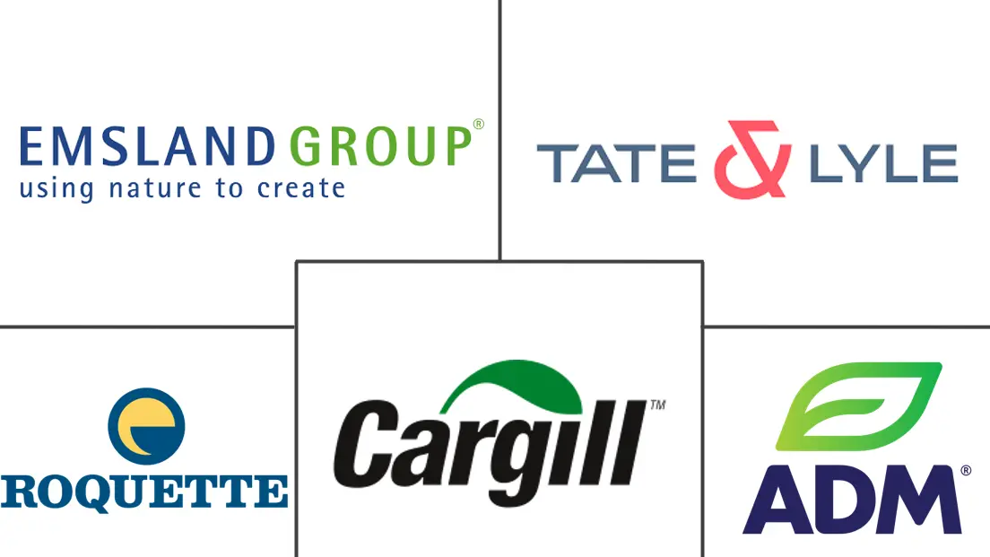 Major players in Industrial Starches industry