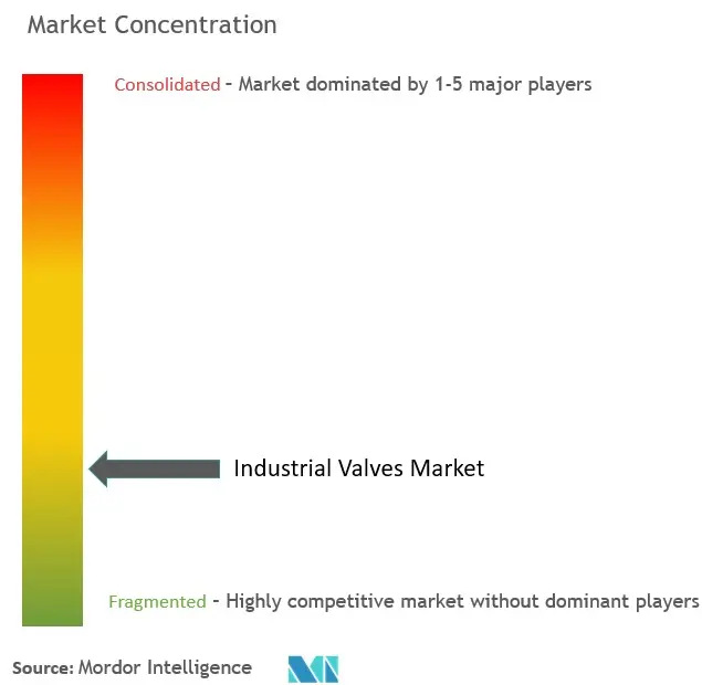 Industrial Valves Market Concentration