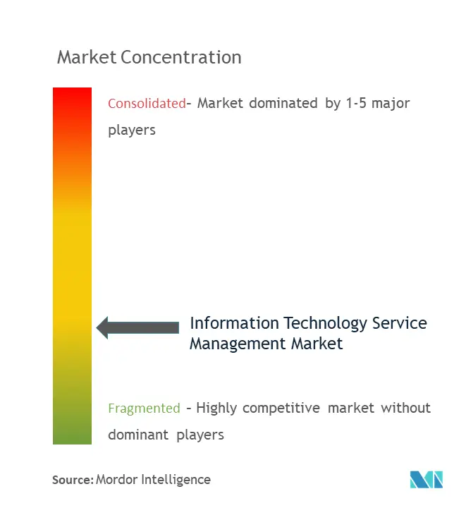 情報技術サービス管理市場の集中
