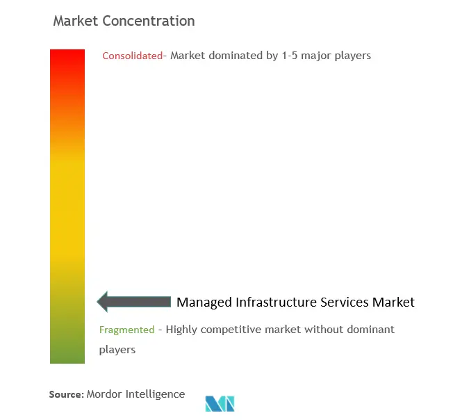 Managed Infrastructure Services Market Concentration