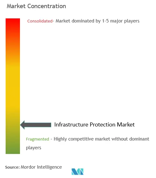インフラ保護市場の集中度