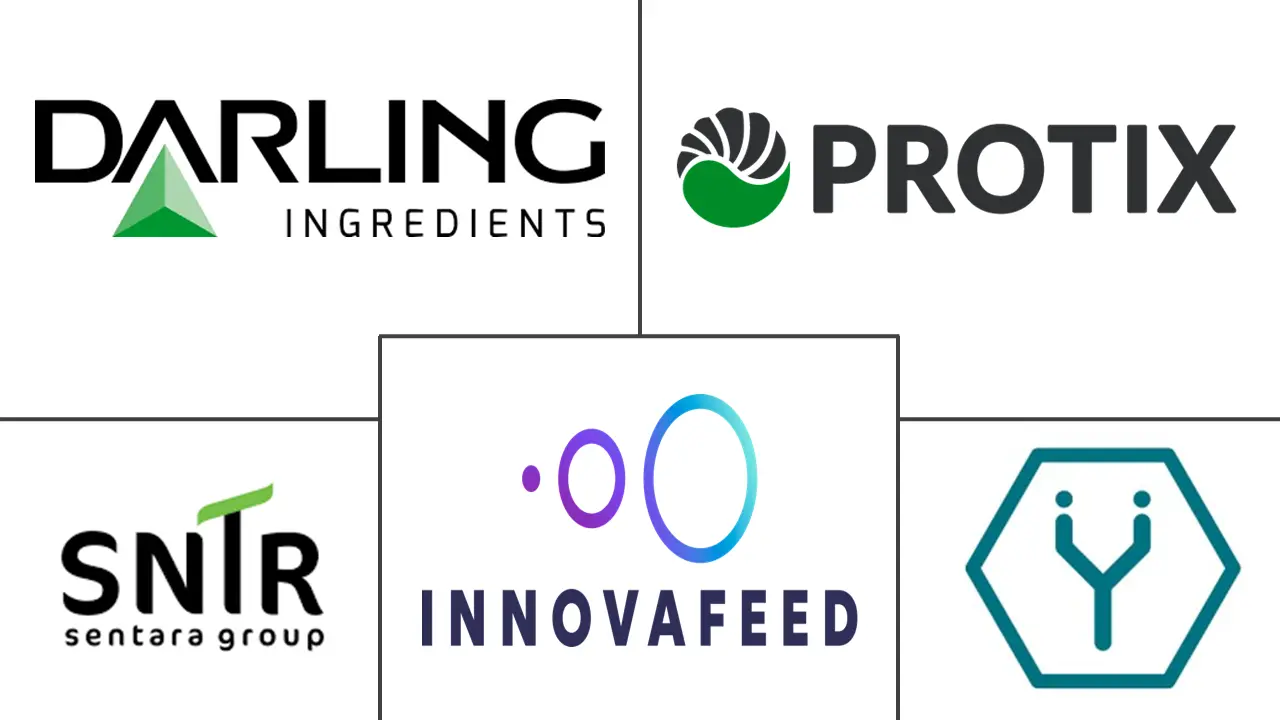 Insect-Based Ingredients Market Major Players Insect-Based Ingredients Market Major Players