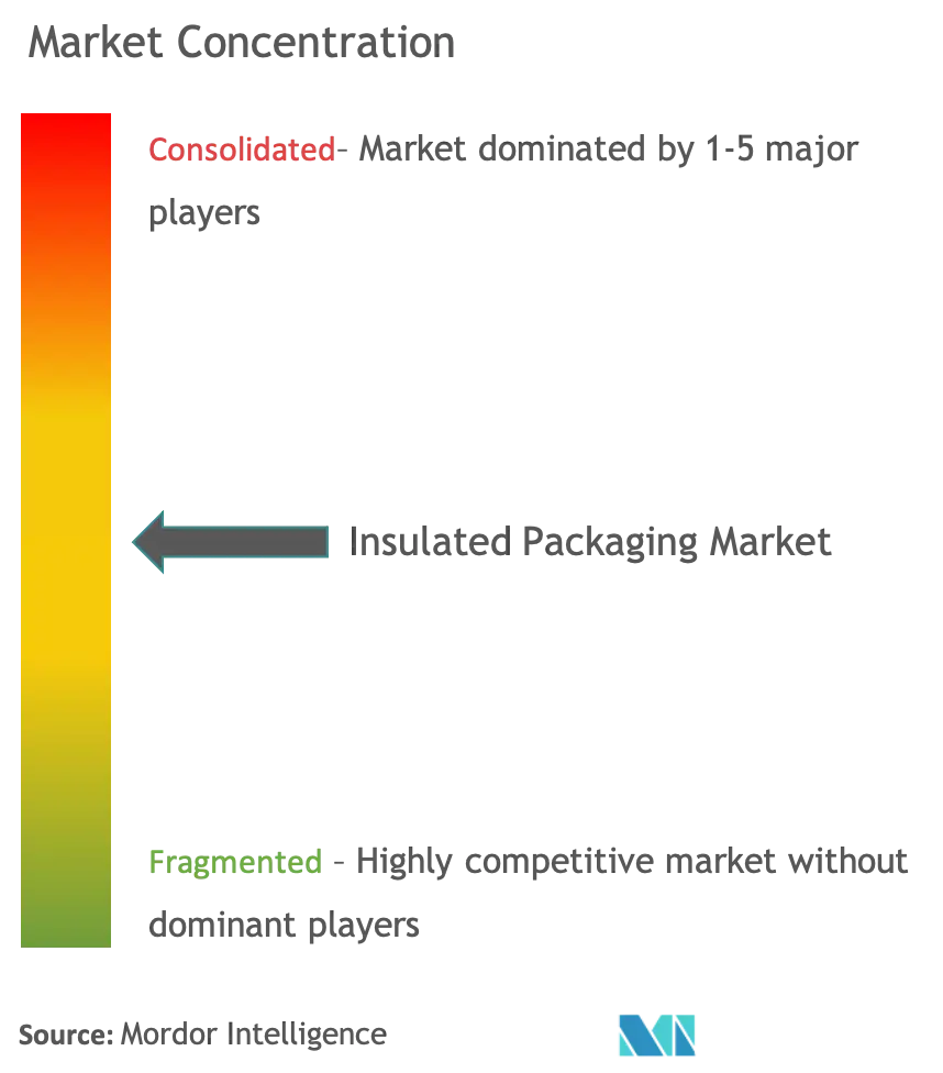 Insulated Packaging Market Concentration