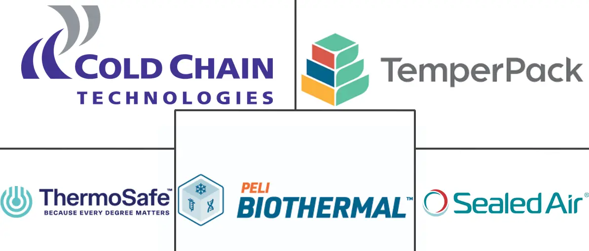 Major players in Insulated Parcel Mailers And Small-Format Cold-Chain Packaging industry