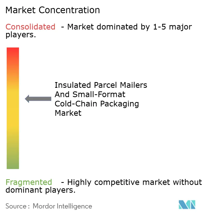 Insulated Parcel Mailers And Small-Format Cold-Chain Packaging Market Concentration