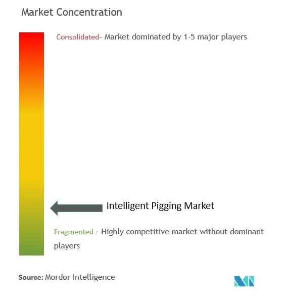 Limpieza inteligenteConcentración del Mercado