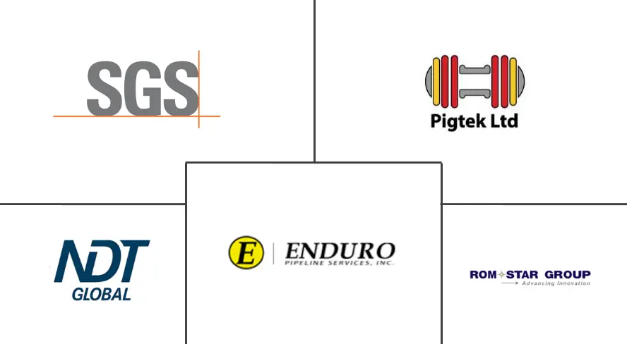 Principales actores del mercado de cerdos inteligentes