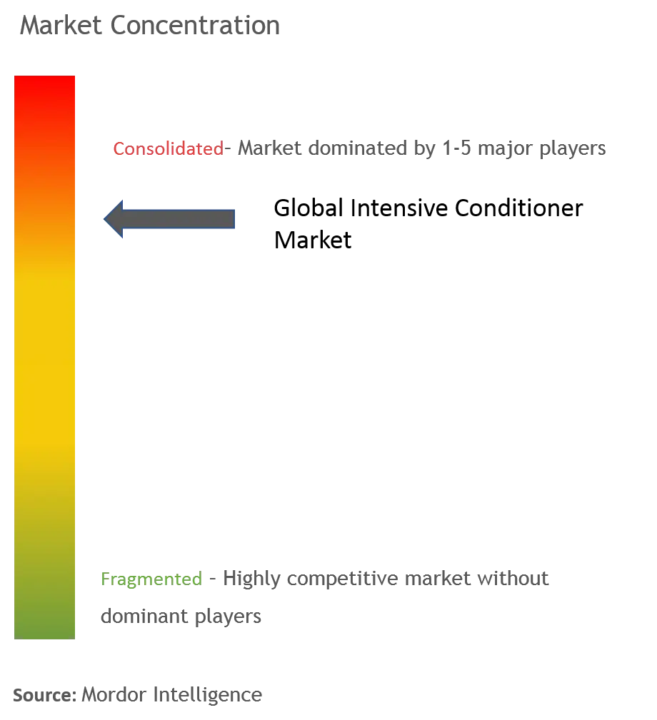 Intensive Conditioner Market Concentration