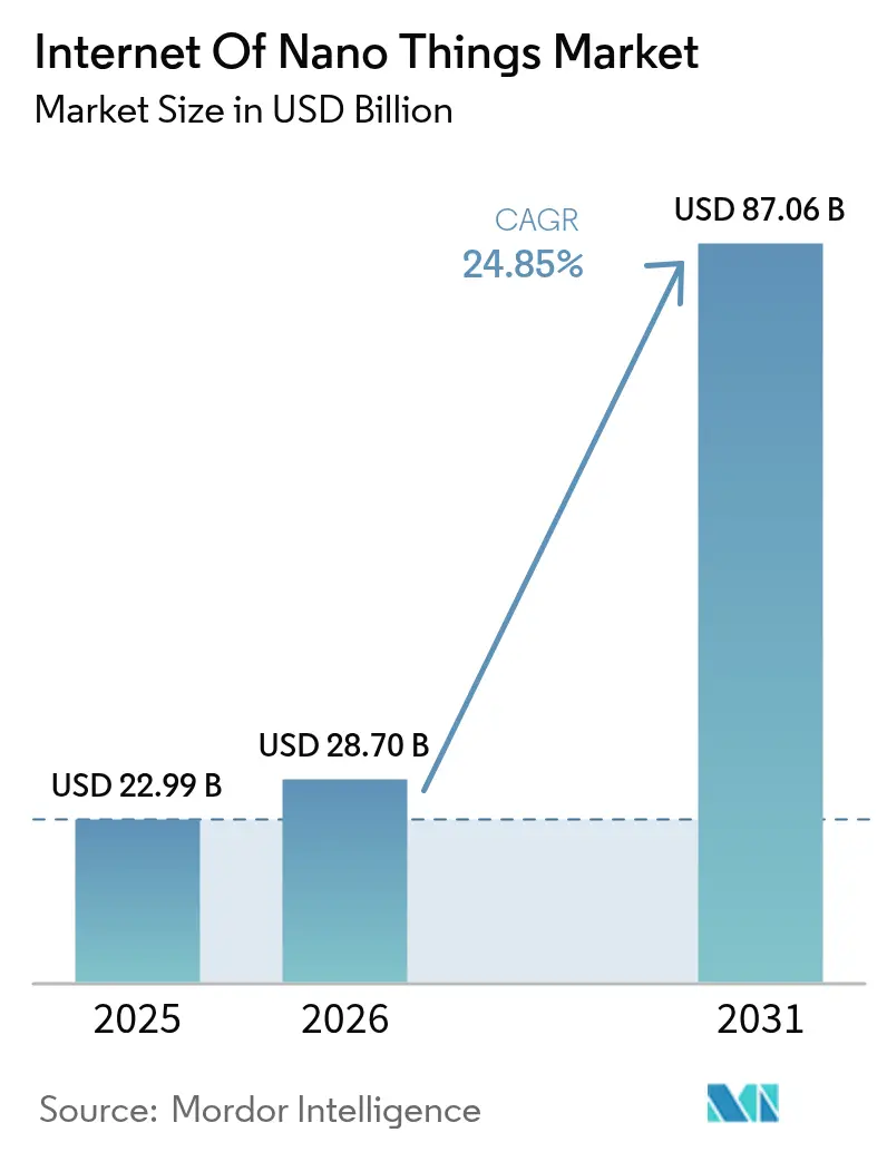 Internet of Nano Things Market (2025 - 2030)