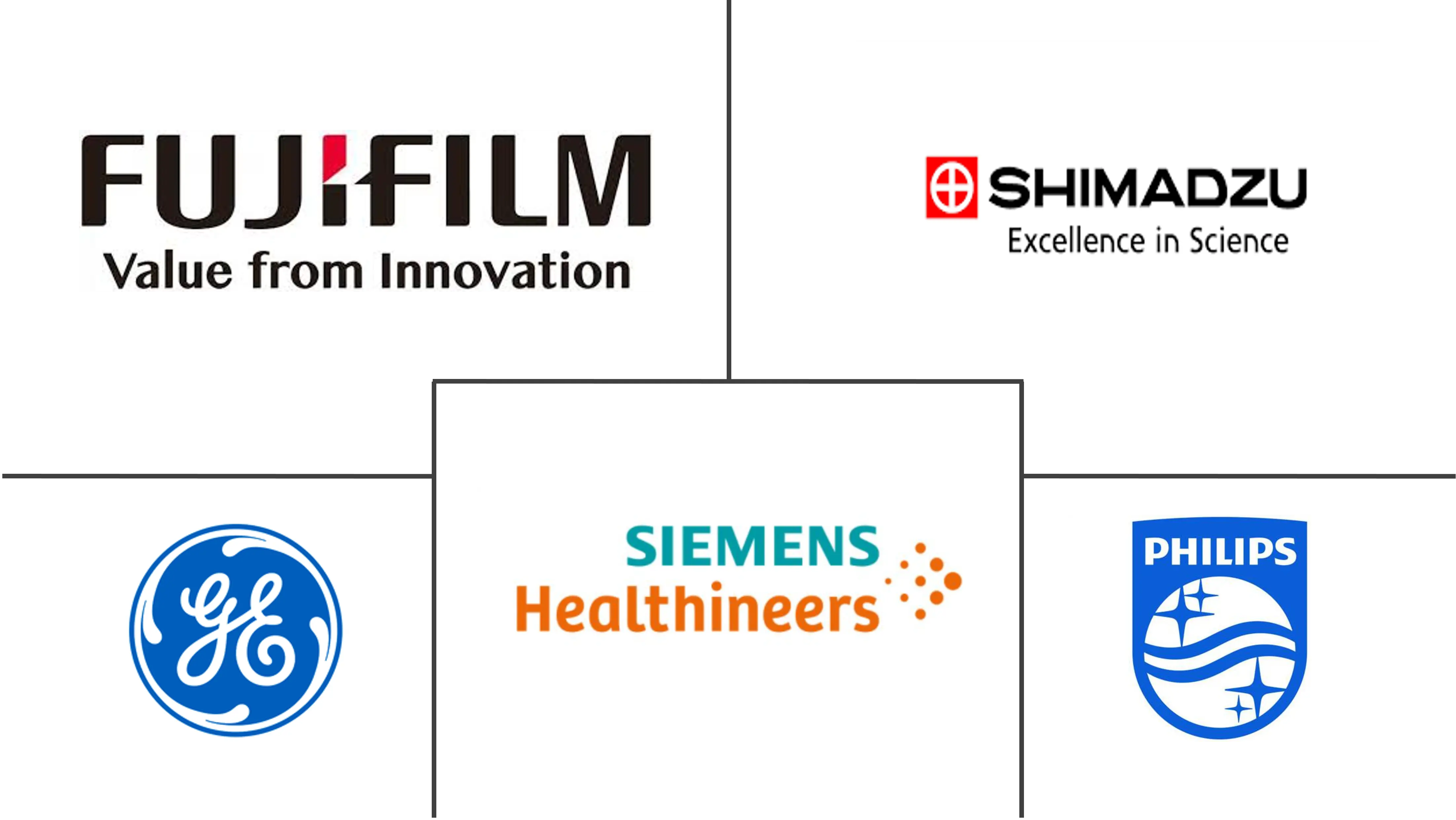 Major players in Interventional Radiology industry