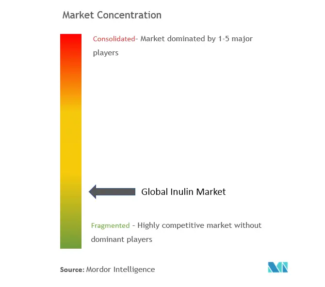 Inulin Market Concentration