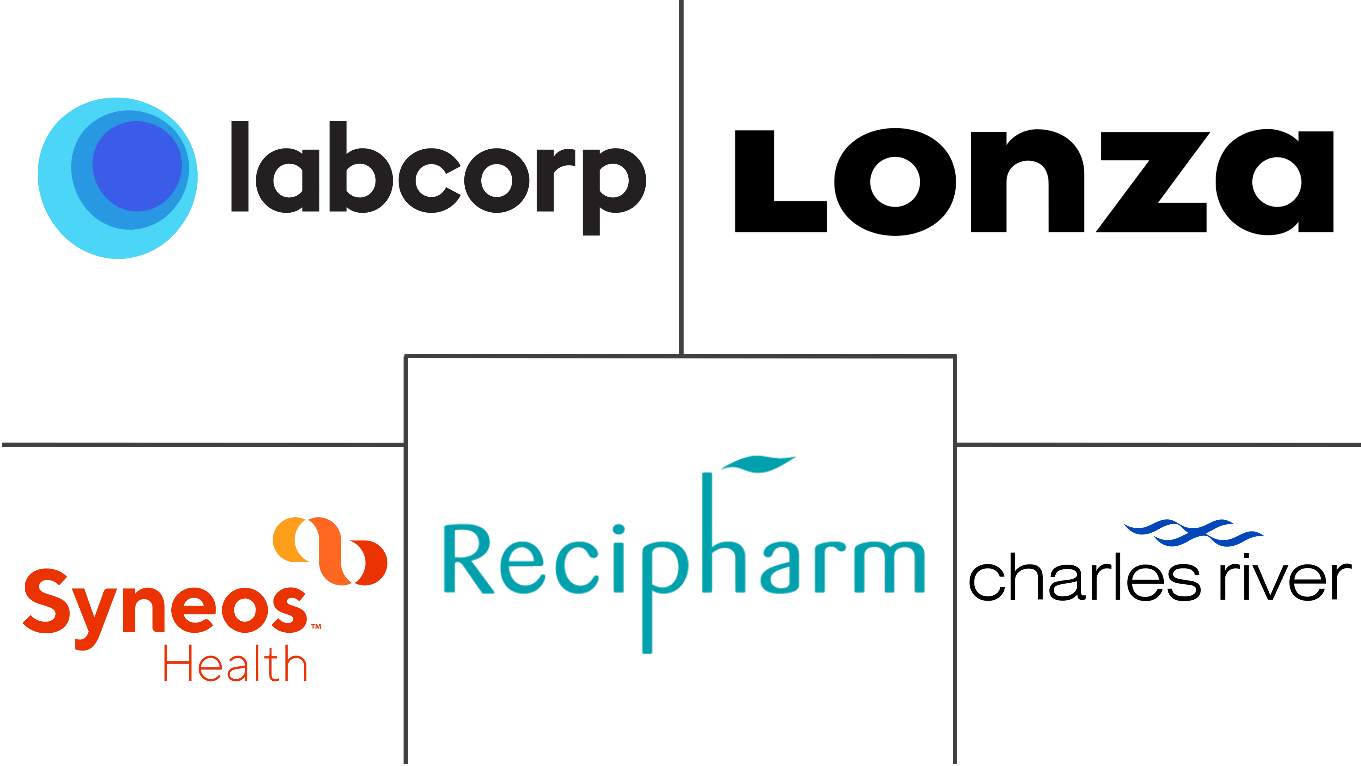 Investigational New Drug CDMO Market Major Players