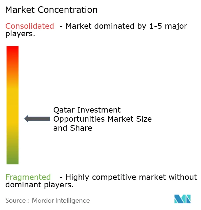 Market concentration analysis of the Qatar Investment Opportunities Market