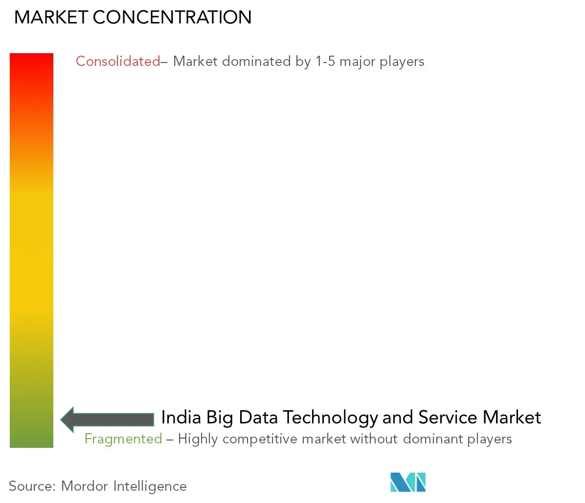 India Big Data Technology & Service Market Concentration