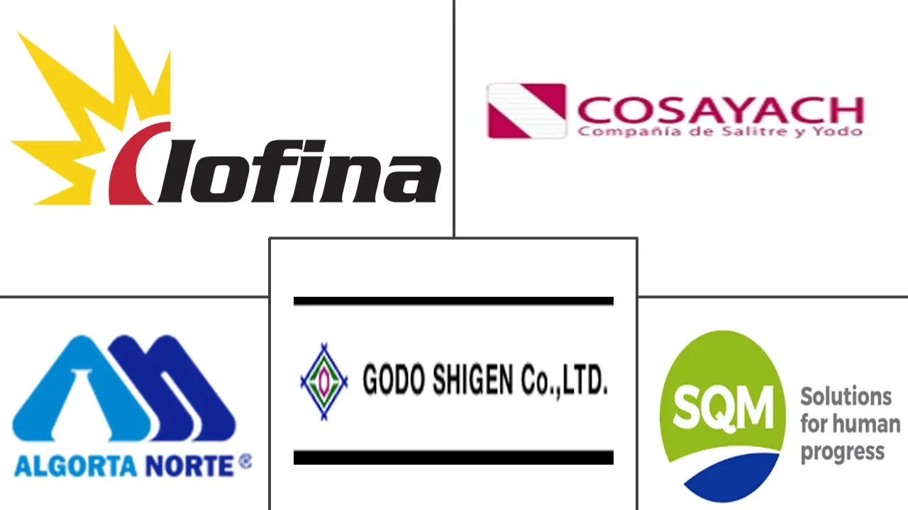 Major players in Iodine industry