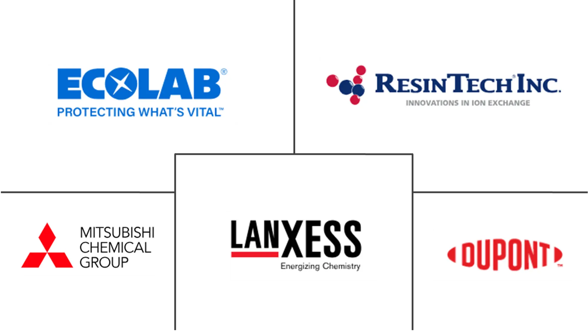 Ion Exchange Resin Market Major Players