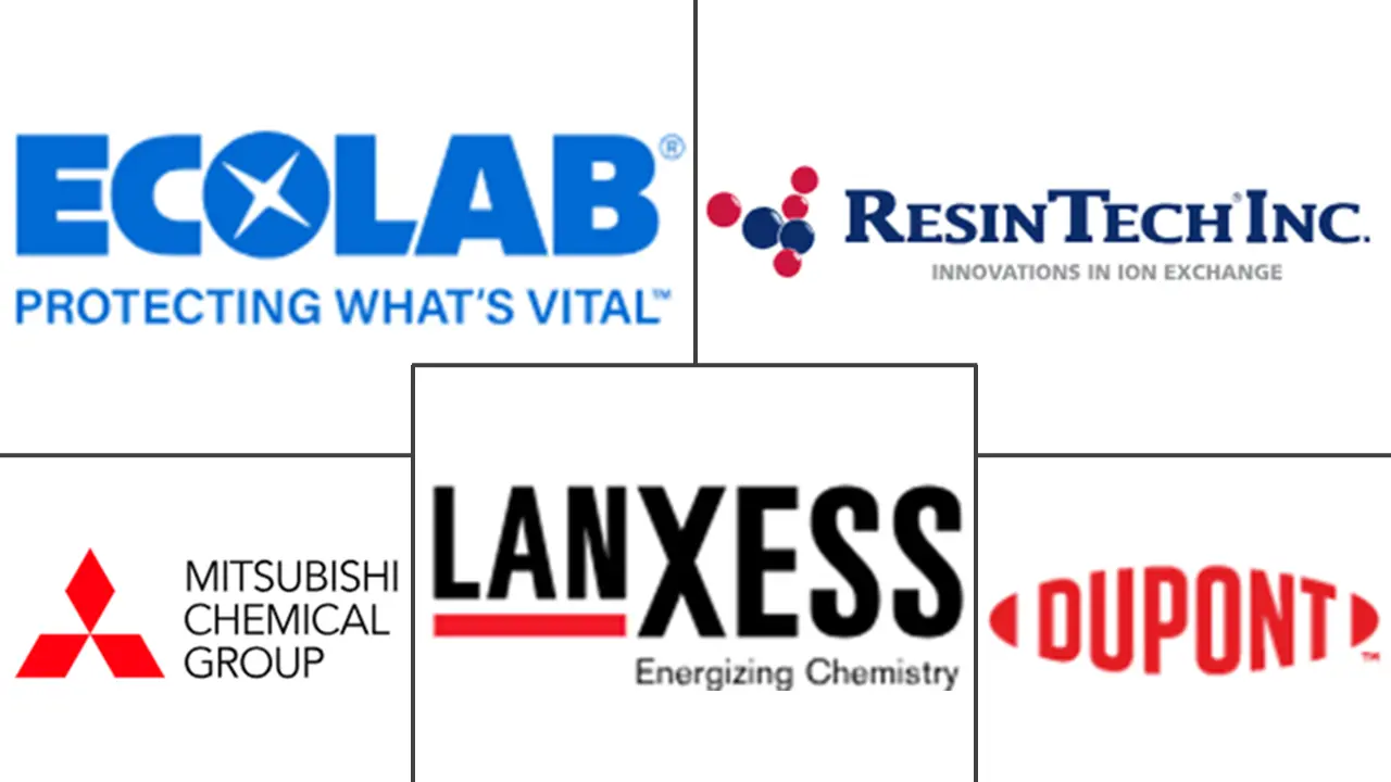 Major players in Ion Exchange Resin industry