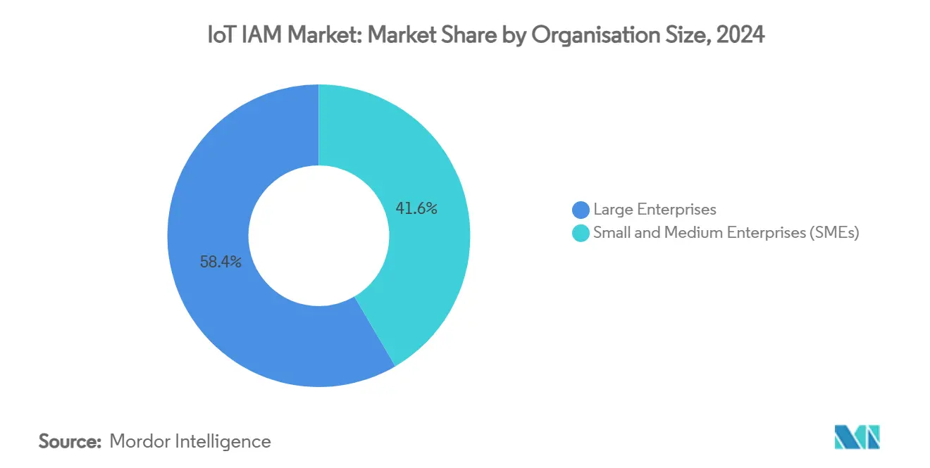 IoT IAM Market: Market Share by Organisation Size