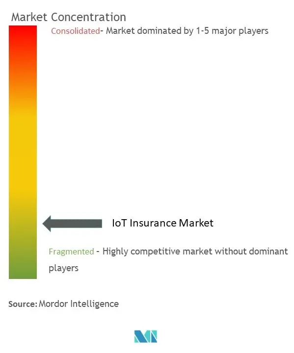 IoT Insurance Market Concentration