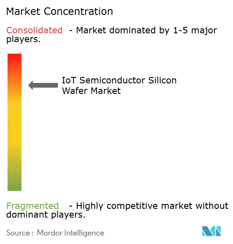 IoT Semiconductor Silicon Wafer Market Concentration