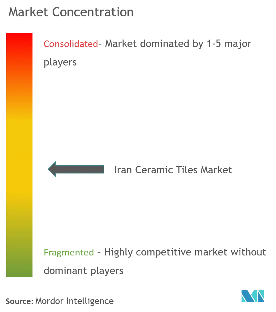 Iran Ceramic Tiles Market Concentration