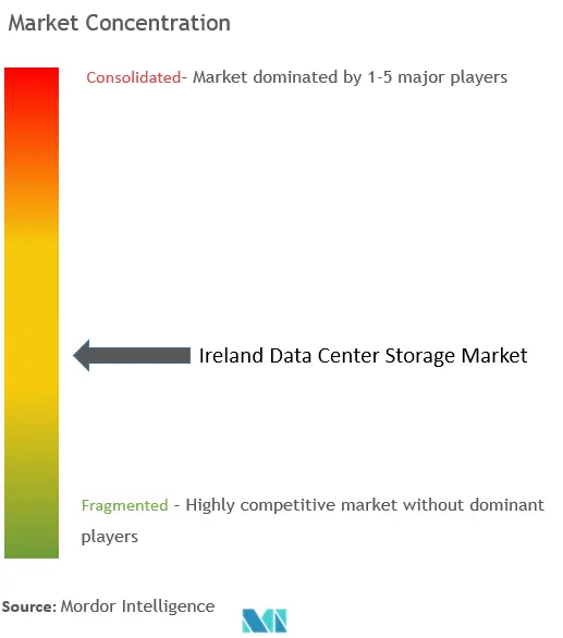 Ireland Data Center Storage Market Concentration