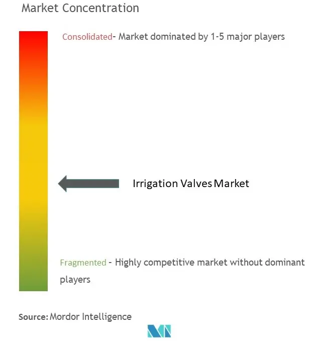 Irrigation Valves Market Concentration