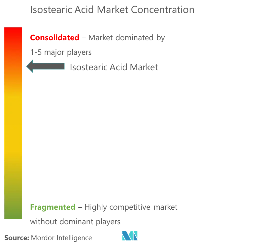 Isostearic Acid Market Concentration